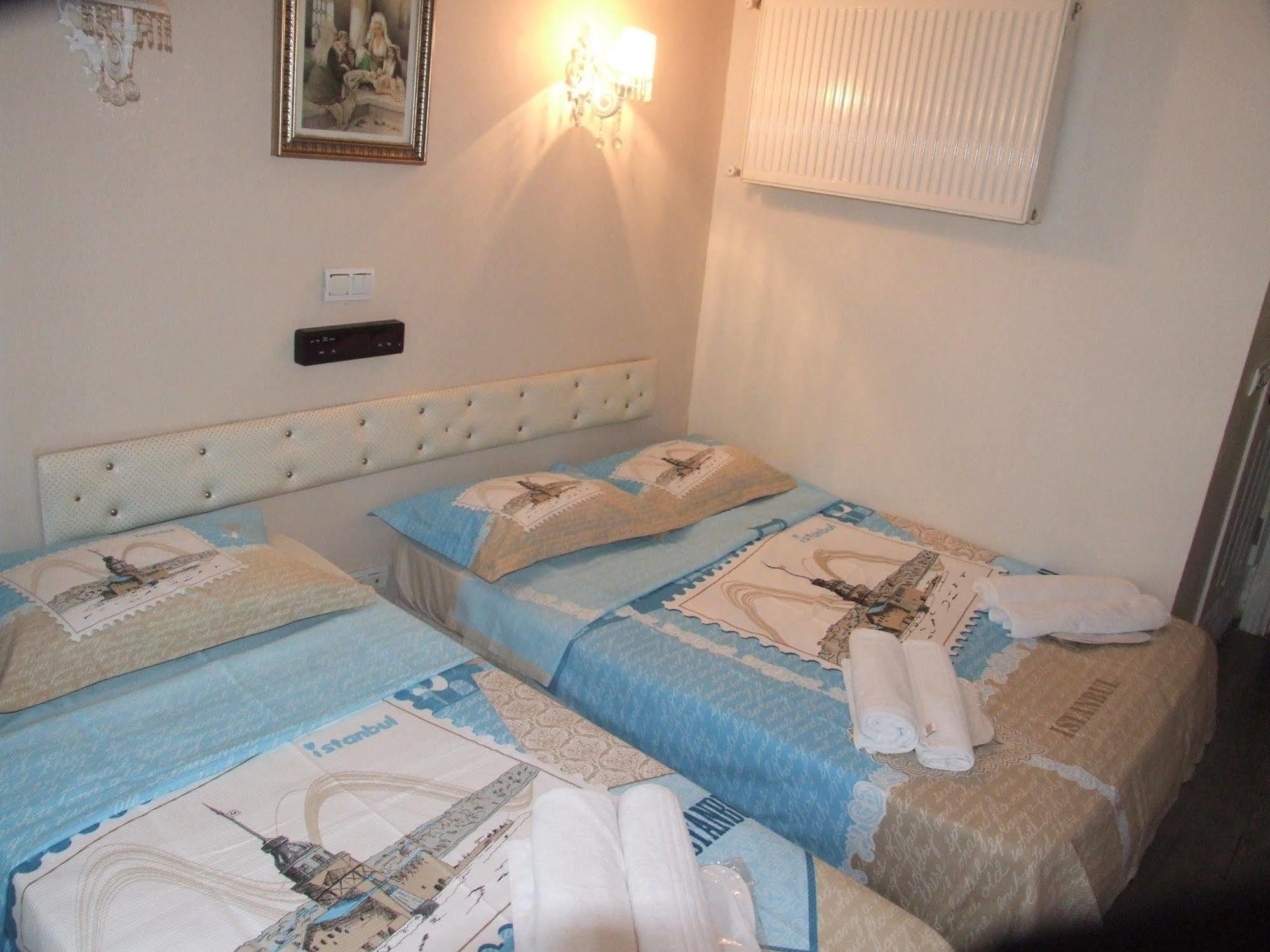 Artemis Old Hotel Istanboel